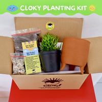 Gambar Pot & Kaktus Mini Cloky Cactus - LoveLove dari Cloky Art Studio Kota Magelang 5 Tokopedia