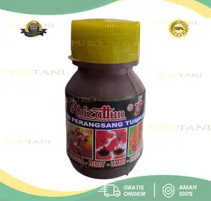Hormon Pertumbuhan Akar umbi bunga benih bibit Rhizattun F