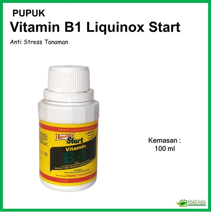 Gambar Vitamin B1 Liquinox Start Isi 100 ml Pupuk Anti Stres Tanaman dari TOKO ABM MAKMUR Kab. Ponorogo Tokopedia