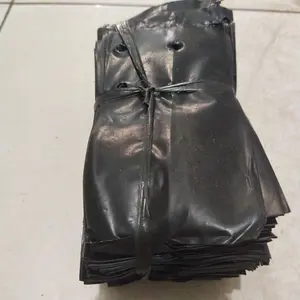 polybag 15x20 500grm