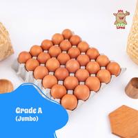 Gambar Telur Ayam SPNI Jumbo (Grade A) dari Telur SPNI Kota Medan 1 Tokopedia
