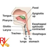 Gambar Antigen Omicron Nose Swab Test Liur 1Set Ecer GP Getein Colloidal Gold dari Riv ID Kota Administrasi Jakarta Utara 4 Tokopedia