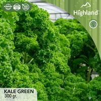 Gambar Highland Kale Green 300 gr dari From Farm to Table Kota Administrasi Jakarta Utara 2 Tokopedia