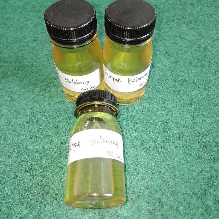 Gambar Minyak Kelabang dari Budidaya Segala Kab. Probolinggo Tokopedia