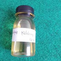 Gambar Minyak Kelabang dari Budidaya Segala Kab. Probolinggo 4 Tokopedia