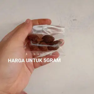 ANTEHAI 5GRAM TEMPAYANG TEMPOYAN OBAT HEEBAL PANAS DALAM