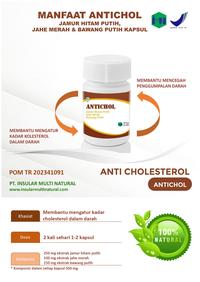 Gambar ANTICHOL (herbal supplement ANTI KOLESTEROL) dari Insular Multi Natural official Kab. Bogor 1 Tokopedia
