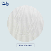 Gambar Bantal Latex / Willow Pillow Standard Latex 15cm dari Willow Premium Pillow Kota Administrasi Jakarta Utara 5 Tokopedia