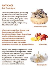 Gambar ANTICHOL (herbal supplement ANTI KOLESTEROL) dari Insular Multi Natural official Kab. Bogor 2 Tokopedia