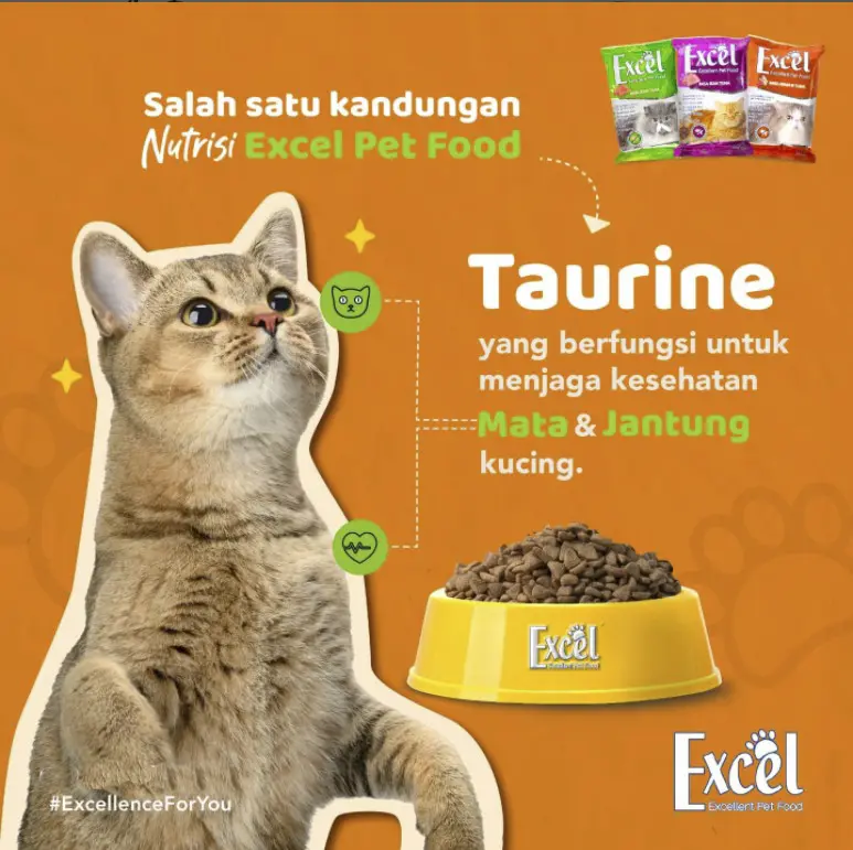 Excel 500gr Makanan Kucing Cat Food Dry 4