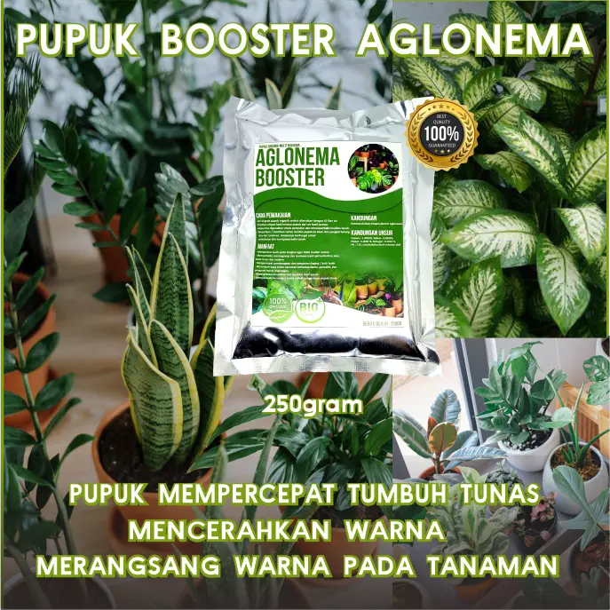 Pupuk Pelebat Aglonema Organik Penyubur Daun dan Tunas ,Booster Aglo