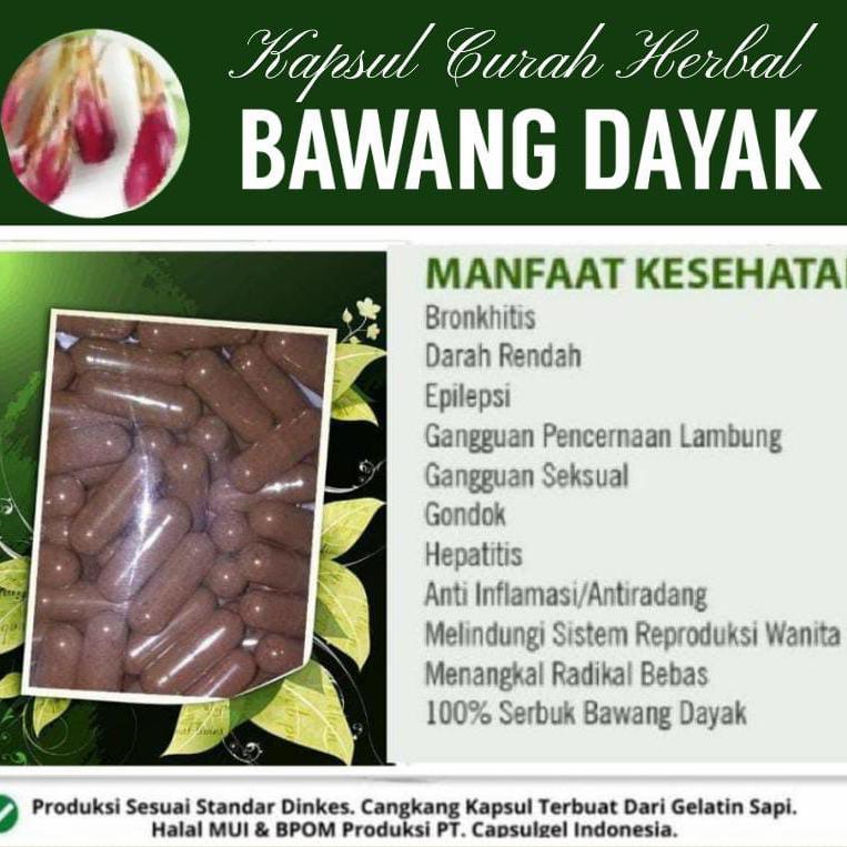 Bawang Dayak 100 Kapsul Curah Herbal Antiradang Amandel Myom Prostat