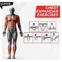 Gambar SFIDN FITS Chest Expander Power Twister Alat Latihan Otot Dada dari Sfidn Jakarta Selatan 5 Tokopedia