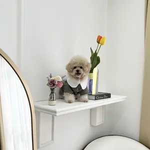 Baju anjing cute brownie dress