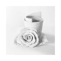 Gambar DAS Air Drying Modelling Clay White 1000 gr dari dreamshop.jkt Kota Administrasi Jakarta Barat 4 Tokopedia