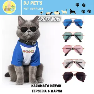 kacamata hewan