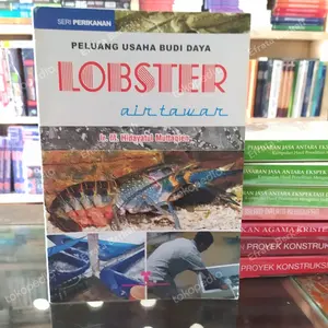 budidaya lobster di air tawar originl
