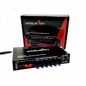 PREAMP PARAMETRIC EQUALIZER USB / TF CARD BLUETOOTH SKELETON SKT-EQ300