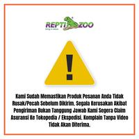 Gambar Reptizoo Arboreal Feeders - Tempat Makan Reptil - Single dari Reptizoo Kota Administrasi Jakarta Utara 3 Tokopedia