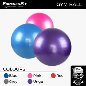 Gym Ball Bola Senam Yoga Ball Pillates Stability FItness Ball Training
