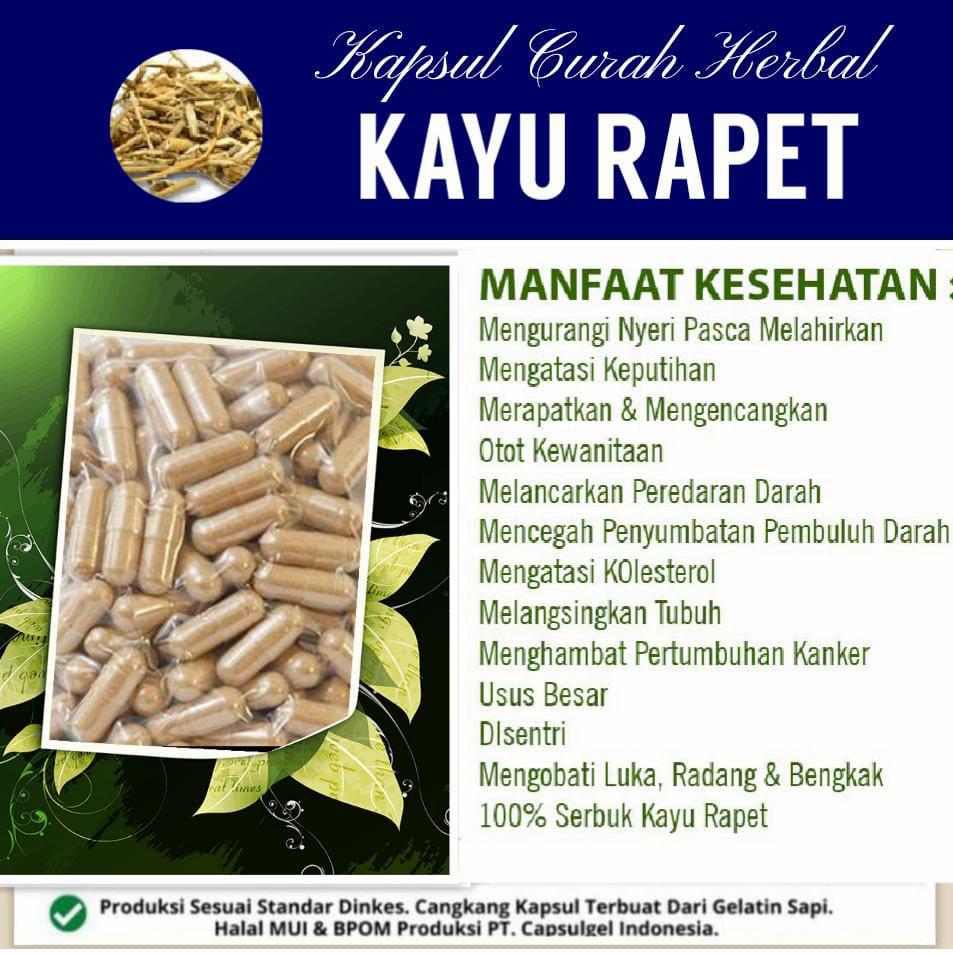 kayu Rapet 100 kapsul