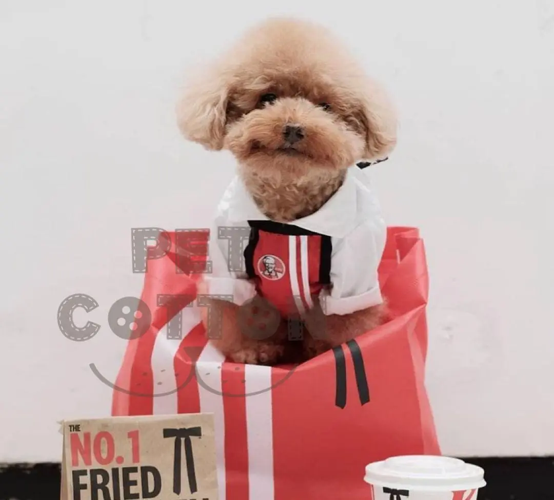 Baju set aparon kfc untuk anjing kucing COSTUM KFC APRON