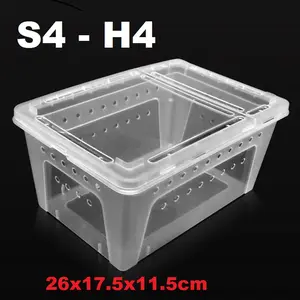 Square Box Reptile M 26x17.5x11.5cm Feeding Box Kotak Tarantula H4 S4