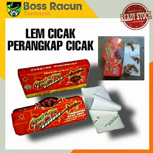 [perangkap cicak/kecoa] LEM CICAK DAN KECOA AMPUH BASMI CICAK/ KECOA