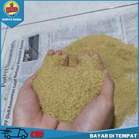 Gambar Telur Jangkrik Cliring Jual Bibit Jangkrik Alam dari Suryaguna Store Kab. Tulungagung 4 Tokopedia