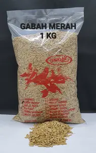 UNIQUE UNIK GABAH MERAH 1 KG UNTUK LOVEBIRD AYAM PERKUTUT TEKUKUR