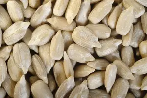 Sunflower Seed 500 Gram