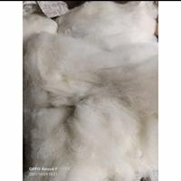 Gambar jaring nelayan media filter bioball japmat kolam ikan koi 1kg dari Keisyaende Kota Administrasi Jakarta Timur 4 Tokopedia