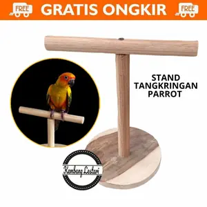 Stand Tangkringan Parrot Tenggeran Training Nuri Sunconure