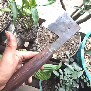 Kampak kelapa/kupas batok kelapa (baja per asli ) Kitchenware