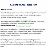 Gambar Molase / molasses / tetes tebu untuk probiotik ternak ikan dari AgroJayaMakmur_NEW Kab. Tangerang 4 Tokopedia