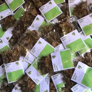 BENALU BATU|Tanaman Herbal|ASLI DARI SULAWESI TENGAH|tangan pertama