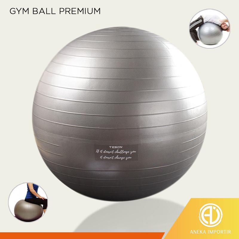 Gym Ball Premium 65 & 75 cm Bola Yoga Fitness Pilates Exercise Gymball ...