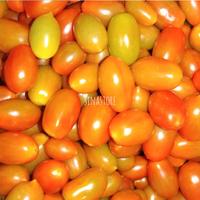 Gambar Tomat Cery 500gram dari sinastore5758 Kab. Semarang 2 Tokopedia