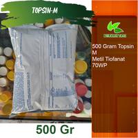 Gambar Topsin M 500 Gram Fungisida Hawar Daun Pengganti Topsindo dari berkahtani10 Kab. Madiun 2 Tokopedia