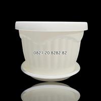 Gambar Pot Bunga 25 Putih Pot Plastik Pot Tulip 25cm Putih Pot tanaman bibit dari grosir botol_NEW Kota Tangerang 4 Tokopedia