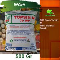 Gambar Topsin M 500 Gram Fungisida Hawar Daun Pengganti Topsindo dari berkahtani10 Kab. Madiun 3 Tokopedia