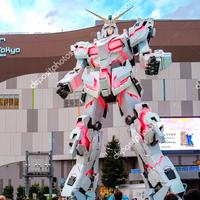 Gambar Robot Spirit Tamashii Unicorn Gundam Destroy Mode dari Taction Kota Tangerang Selatan 4 Tokopedia