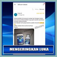 Gambar Obat Pengering Luka Borok Bernanah Gatal Berair/Budug/Gudik - ALBUCARE dari JOBA STORE Kota Tasikmalaya 2 Tokopedia