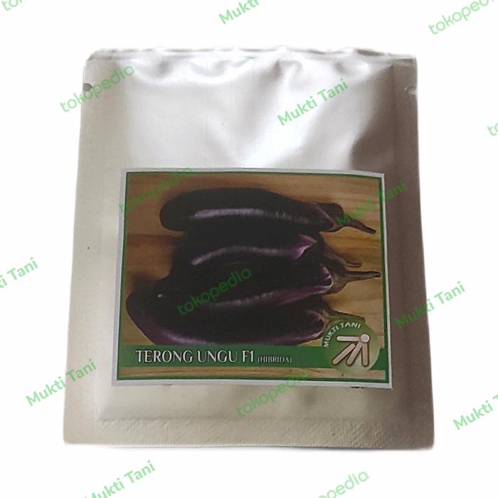 Gambar Benih Bibit Terong Ungu F1 Kemasan Hemat 0,5gr dari Mukti Tani Kota Administrasi Jakarta Selatan Tokopedia