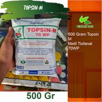 Gambar Topsin M 500 Gram Fungisida Hawar Daun Pengganti Topsindo dari berkahtani10 Kab. Madiun 1 Tokopedia