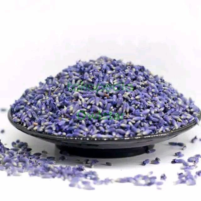 Gambar Teh Bunga Lavender Premium teh herbal teh bunga Flower tea 500 gram dari PayPay88_NEW Kota Administrasi Jakarta Barat Tokopedia
