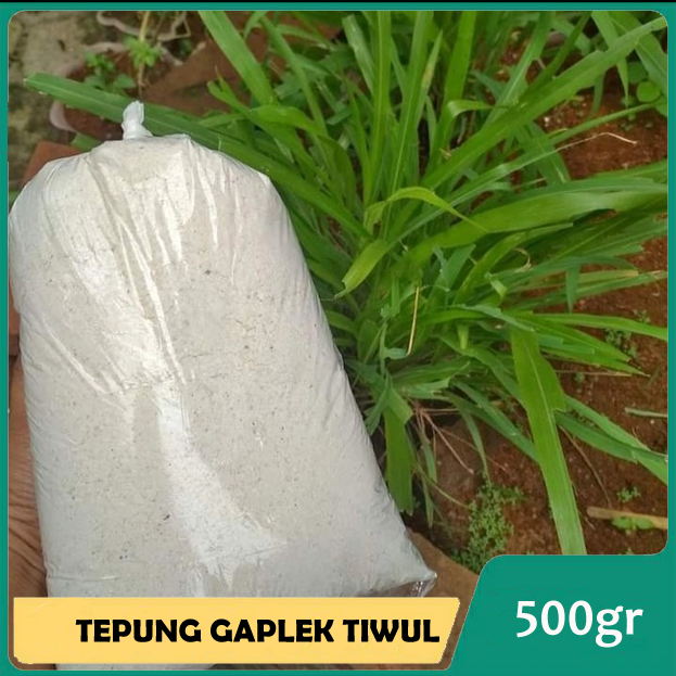 Gambar Tepung Gaplek Singkong Bahan Nasi Tiwul 500 gram dari Marya Store_NEW Kab. Ponorogo Tokopedia