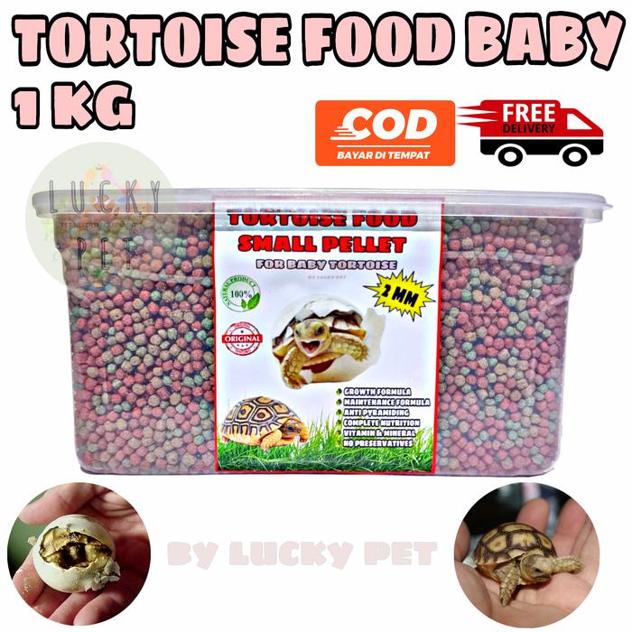 Gambar [1KG BABY] MAKANAN PAKAN PELET KURA KURA DARAT ANAK SULCATA SULKATA dari LUCKY PET_NEW Kota Depok Tokopedia