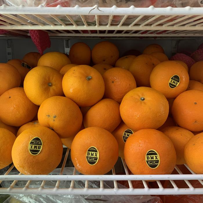 Gambar Jeruk wokam / jeruk wogan / jeruk mandarin dari Sayfruit Kota Administrasi Jakarta Selatan Tokopedia