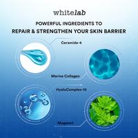 Gambar WHITELAB CERA-MUG BARRIER MOISTURIZING GEL dari SHOPESCE Kota Surabaya 5 Tokopedia